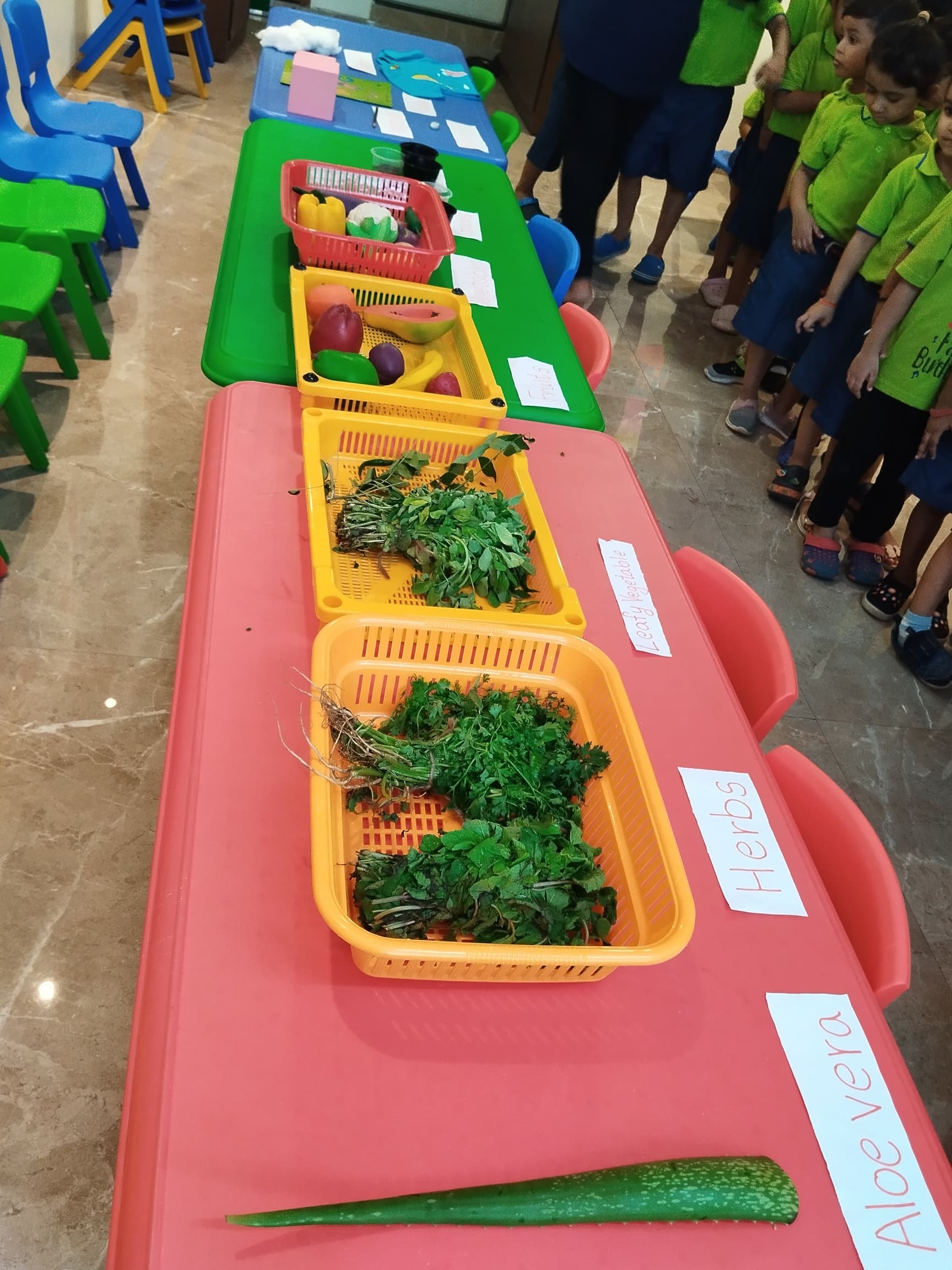 EuroKids Pre-School-Mumbai-Andheri Sher-E-Punjab campus