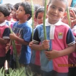 Spring Mount Montessori School, Royapuram, Tirupur campus